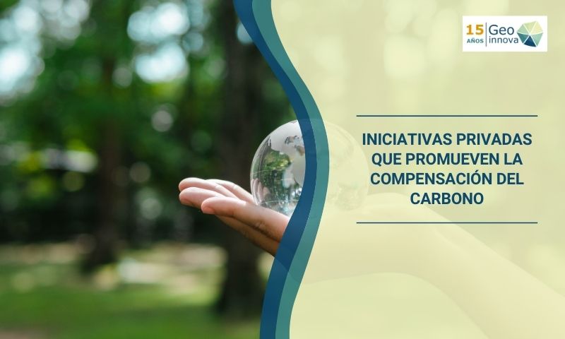 Iniciativas privadas que promueven la compensación del carbono