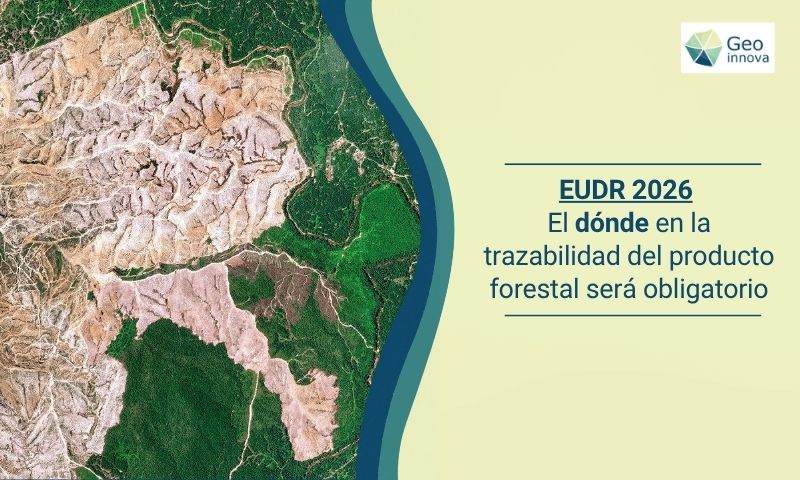 EUDR 2026: El «donde» en la trazabilidad del producto forestal será obligatorio